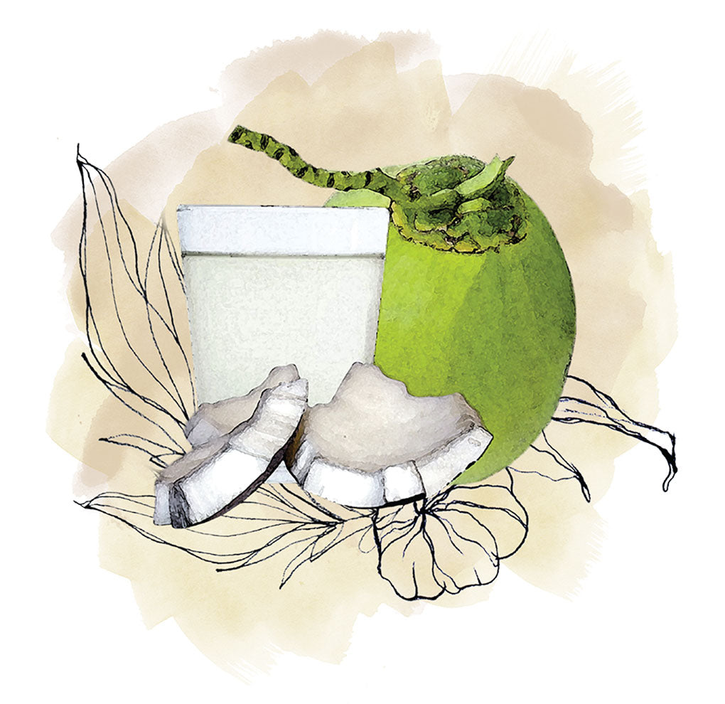 น้ำมะพร้าว