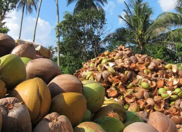 น้ำมันมะพร้าวบริสุทธิ์แห่งเกาะสมุย