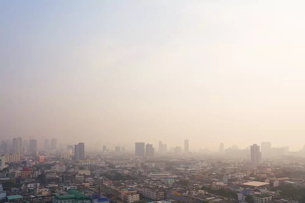 5 วิธีบรรเทาอาการแสบคอ บอกลาปัญหาสุขภาพจากฝุ่น PM 2.5